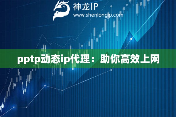 pptp动态ip代理：助你高效上网