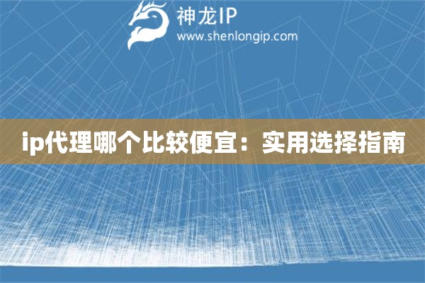 ip代理哪个比较便宜：实用选择指南